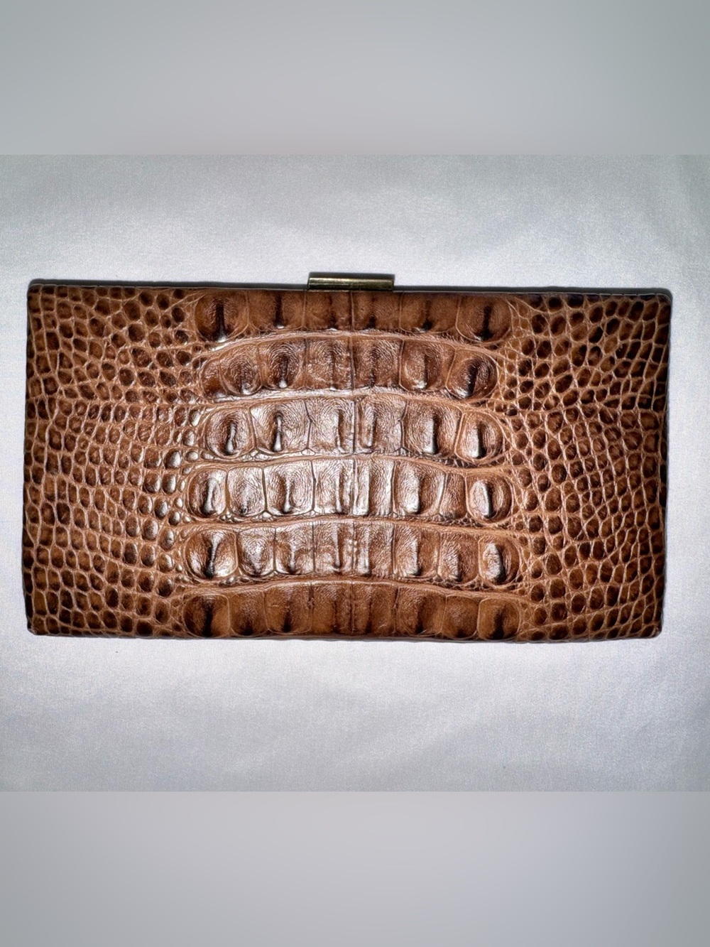 Banana Republic Brown Croc-Embossed Leather Clutch